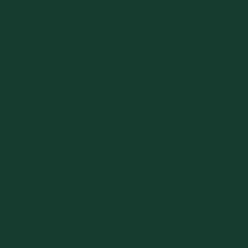 Riegel Napkin, 7.2 Ounce Spun Polyester:  Forest Green